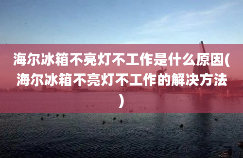 海尔冰箱不亮灯不工作是什么原因(海尔冰箱不亮灯不工作的解决方法)