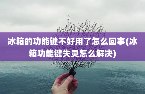 冰箱的功能键不好用了怎么回事(冰箱功能键失灵怎么解决)