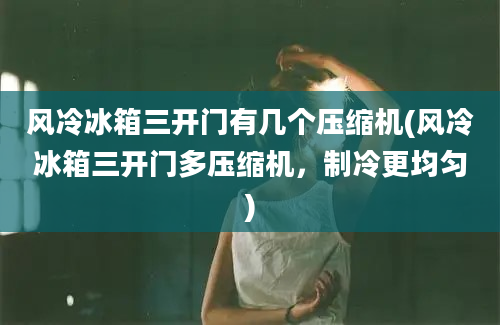 风冷冰箱三开门有几个压缩机(风冷冰箱三开门多压缩机，制冷更均匀)