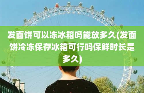 发面饼可以冻冰箱吗能放多久(发面饼冷冻保存冰箱可行吗保鲜时长是多久)