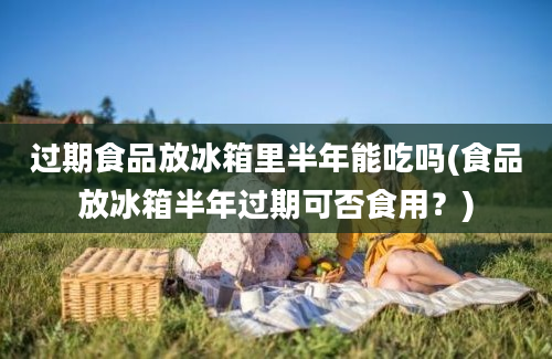 过期食品放冰箱里半年能吃吗(食品放冰箱半年过期可否食用？)