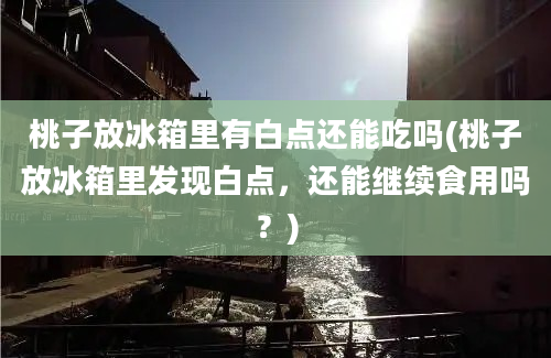 桃子放冰箱里有白点还能吃吗(桃子放冰箱里发现白点，还能继续食用吗？)