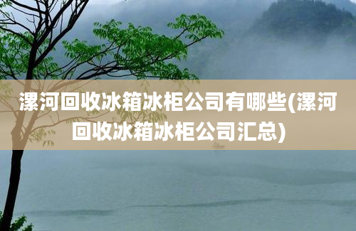 漯河回收冰箱冰柜公司有哪些(漯河回收冰箱冰柜公司汇总)