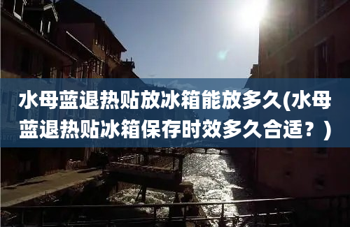 水母蓝退热贴放冰箱能放多久(水母蓝退热贴冰箱保存时效多久合适？)