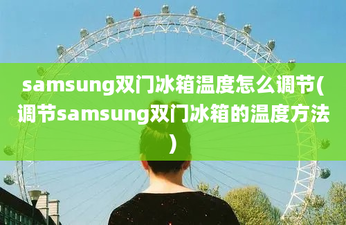 samsung双门冰箱温度怎么调节(调节samsung双门冰箱的温度方法)