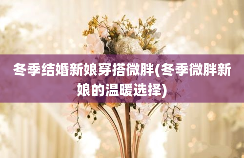 冬季结婚新娘穿搭微胖(冬季微胖新娘的温暖选择)