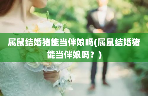 属鼠结婚猪能当伴娘吗(属鼠结婚猪能当伴娘吗？)