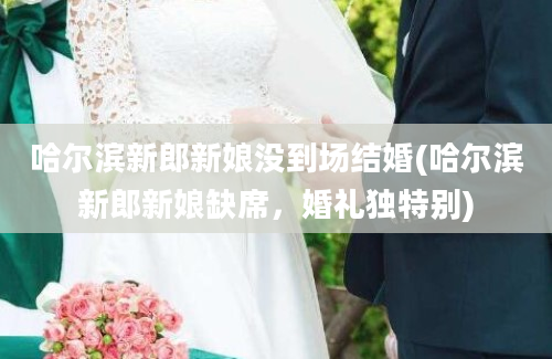 哈尔滨新郎新娘没到场结婚(哈尔滨新郎新娘缺席，婚礼独特别)