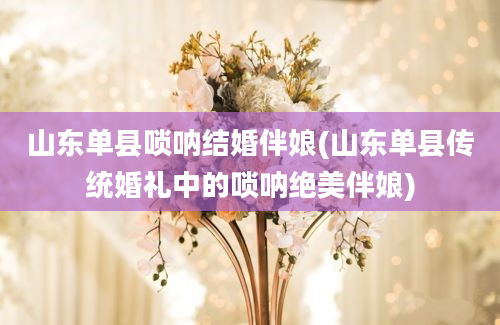 山东单县唢呐结婚伴娘(山东单县传统婚礼中的唢呐绝美伴娘)