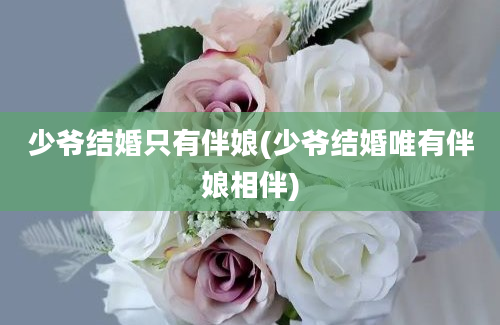 少爷结婚只有伴娘(少爷结婚唯有伴娘相伴)