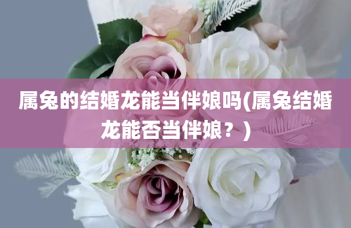 属兔的结婚龙能当伴娘吗(属兔结婚龙能否当伴娘？)