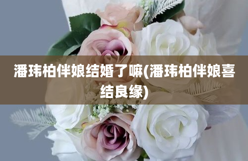 潘玮柏伴娘结婚了嘛(潘玮柏伴娘喜结良缘)