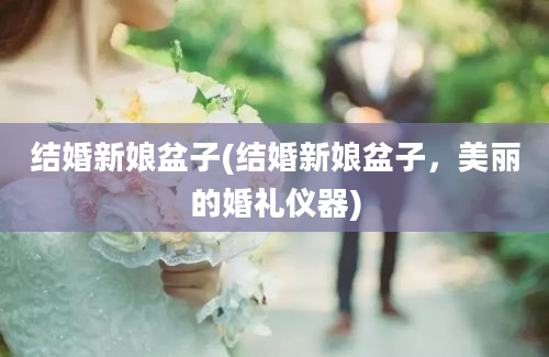 结婚新娘盆子(结婚新娘盆子，美丽的婚礼仪器)