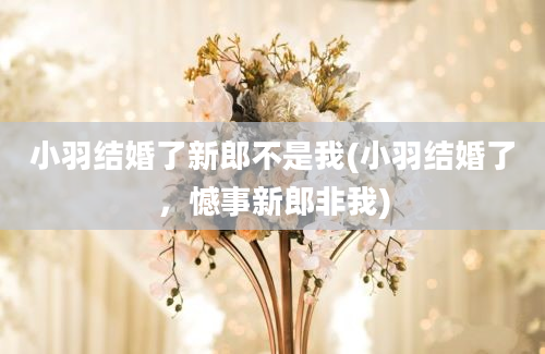 小羽结婚了新郎不是我(小羽结婚了，憾事新郎非我)