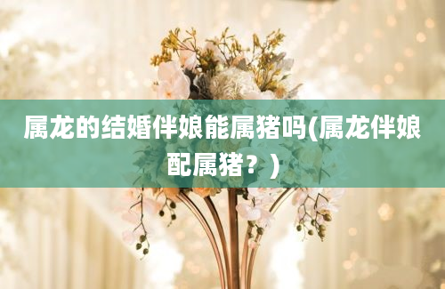 属龙的结婚伴娘能属猪吗(属龙伴娘配属猪？)