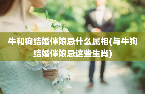 牛和狗结婚伴娘忌什么属相(与牛狗结婚伴娘忌这些生肖)