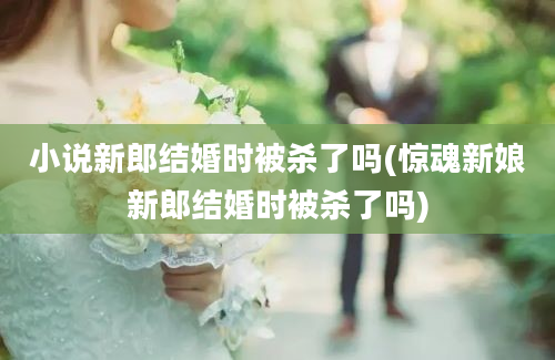 小说新郎结婚时被杀了吗(惊魂新娘新郎结婚时被杀了吗)