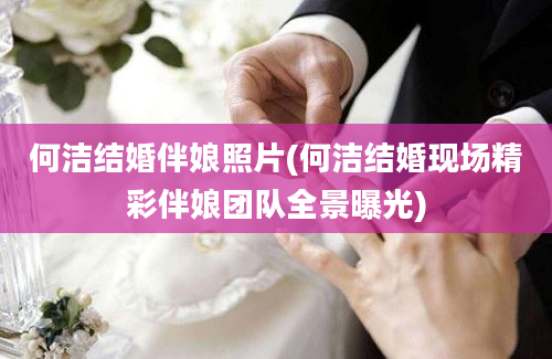 何洁结婚伴娘照片(何洁结婚现场精彩伴娘团队全景曝光)