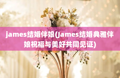 james结婚伴娘(James结婚典雅伴娘祝福与美好共同见证)