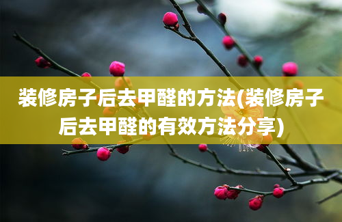 装修房子后去甲醛的方法(装修房子后去甲醛的有效方法分享)