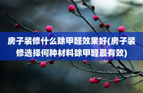 房子装修什么除甲醛效果好(房子装修选择何种材料除甲醛最有效)