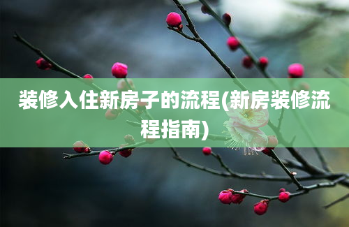 装修入住新房子的流程(新房装修流程指南)