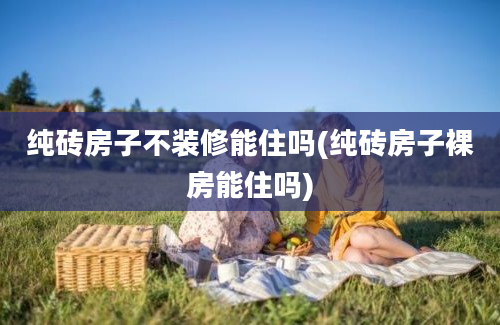 纯砖房子不装修能住吗(纯砖房子裸房能住吗)