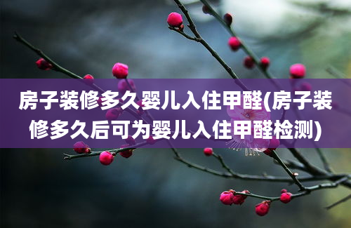 房子装修多久婴儿入住甲醛(房子装修多久后可为婴儿入住甲醛检测)