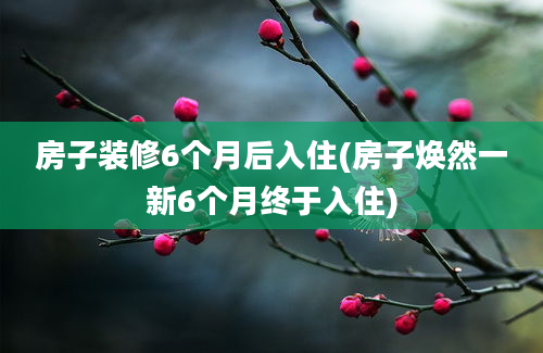 房子装修6个月后入住(房子焕然一新6个月终于入住)