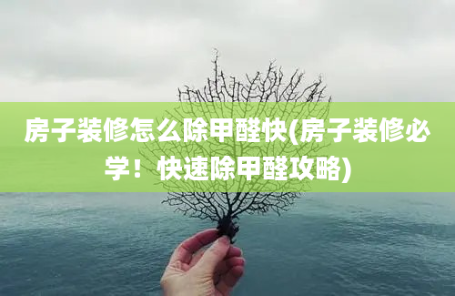 房子装修怎么除甲醛快(房子装修必学！快速除甲醛攻略)