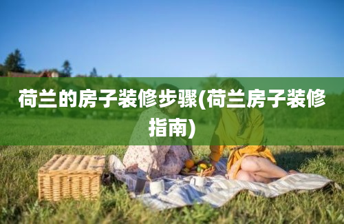 荷兰的房子装修步骤(荷兰房子装修指南)