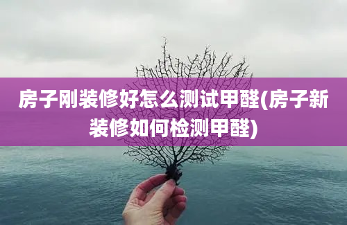 房子刚装修好怎么测试甲醛(房子新装修如何检测甲醛)