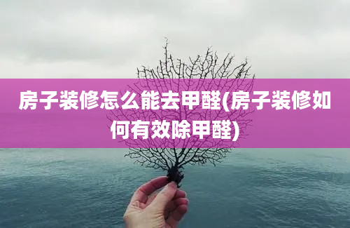 房子装修怎么能去甲醛(房子装修如何有效除甲醛)