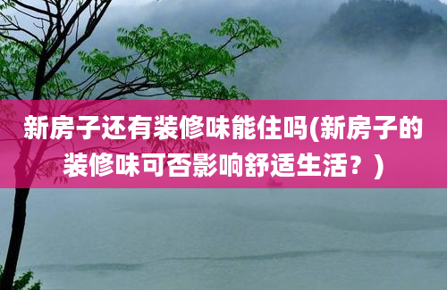 新房子还有装修味能住吗(新房子的装修味可否影响舒适生活？)