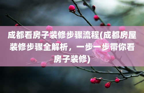 成都看房子装修步骤流程(成都房屋装修步骤全解析，一步一步带你看房子装修)