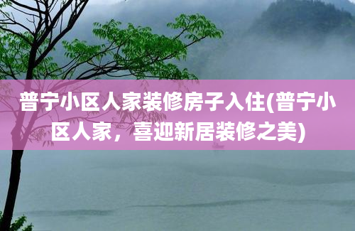 普宁小区人家装修房子入住(普宁小区人家，喜迎新居装修之美)