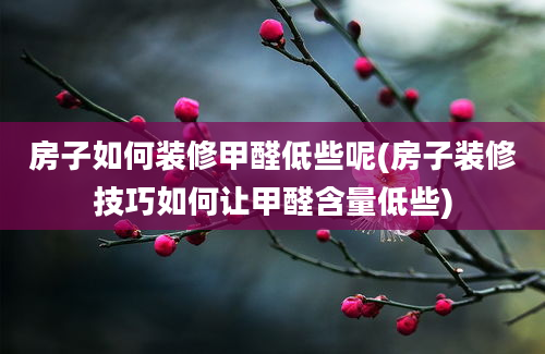 房子如何装修甲醛低些呢(房子装修技巧如何让甲醛含量低些)