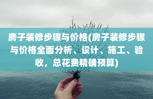 房子装修步骤与价格(房子装修步骤与价格全面分析、设计、施工、验收，总花费精确预算)