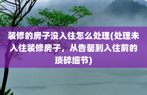 装修的房子没入住怎么处理(处理未入住装修房子，从告罄到入住前的琐碎细节)