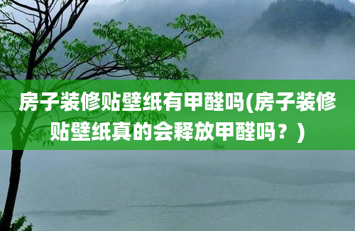 房子装修贴壁纸有甲醛吗(房子装修贴壁纸真的会释放甲醛吗？)