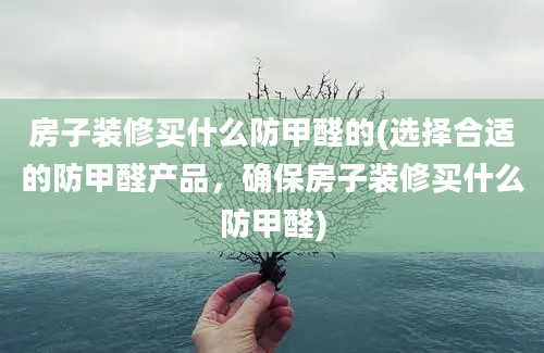 房子装修买什么防甲醛的(选择合适的防甲醛产品，确保房子装修买什么防甲醛)