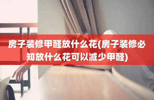 房子装修甲醛放什么花(房子装修必知放什么花可以减少甲醛)