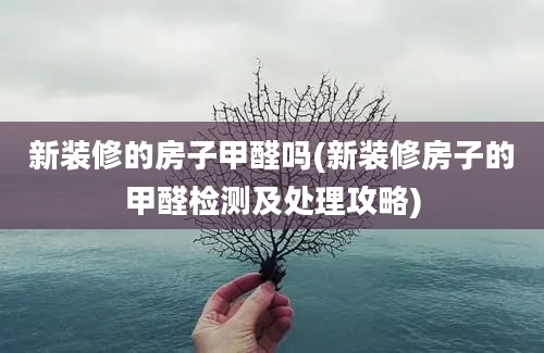 新装修的房子甲醛吗(新装修房子的甲醛检测及处理攻略)