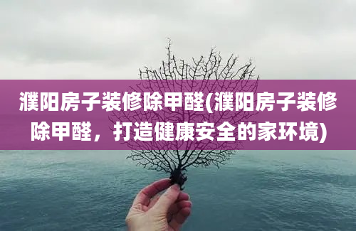 濮阳房子装修除甲醛(濮阳房子装修除甲醛，打造健康安全的家环境)