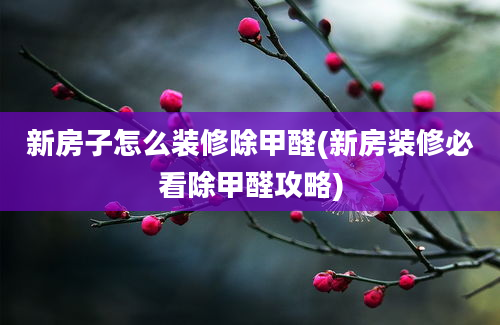 新房子怎么装修除甲醛(新房装修必看除甲醛攻略)