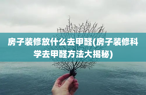 房子装修放什么去甲醛(房子装修科学去甲醛方法大揭秘)