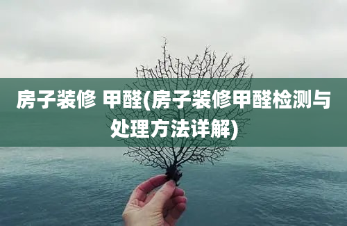 房子装修 甲醛(房子装修甲醛检测与处理方法详解)