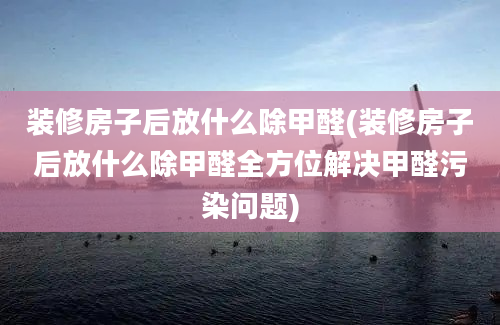 装修房子后放什么除甲醛(装修房子后放什么除甲醛全方位解决甲醛污染问题)