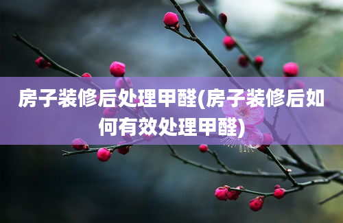 房子装修后处理甲醛(房子装修后如何有效处理甲醛)