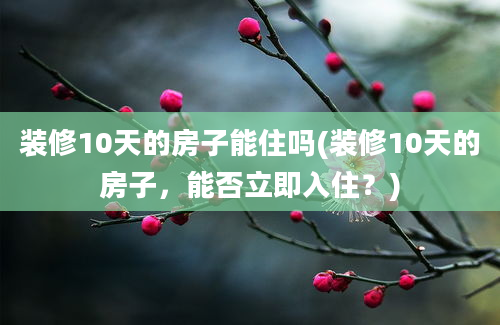 装修10天的房子能住吗(装修10天的房子，能否立即入住？)